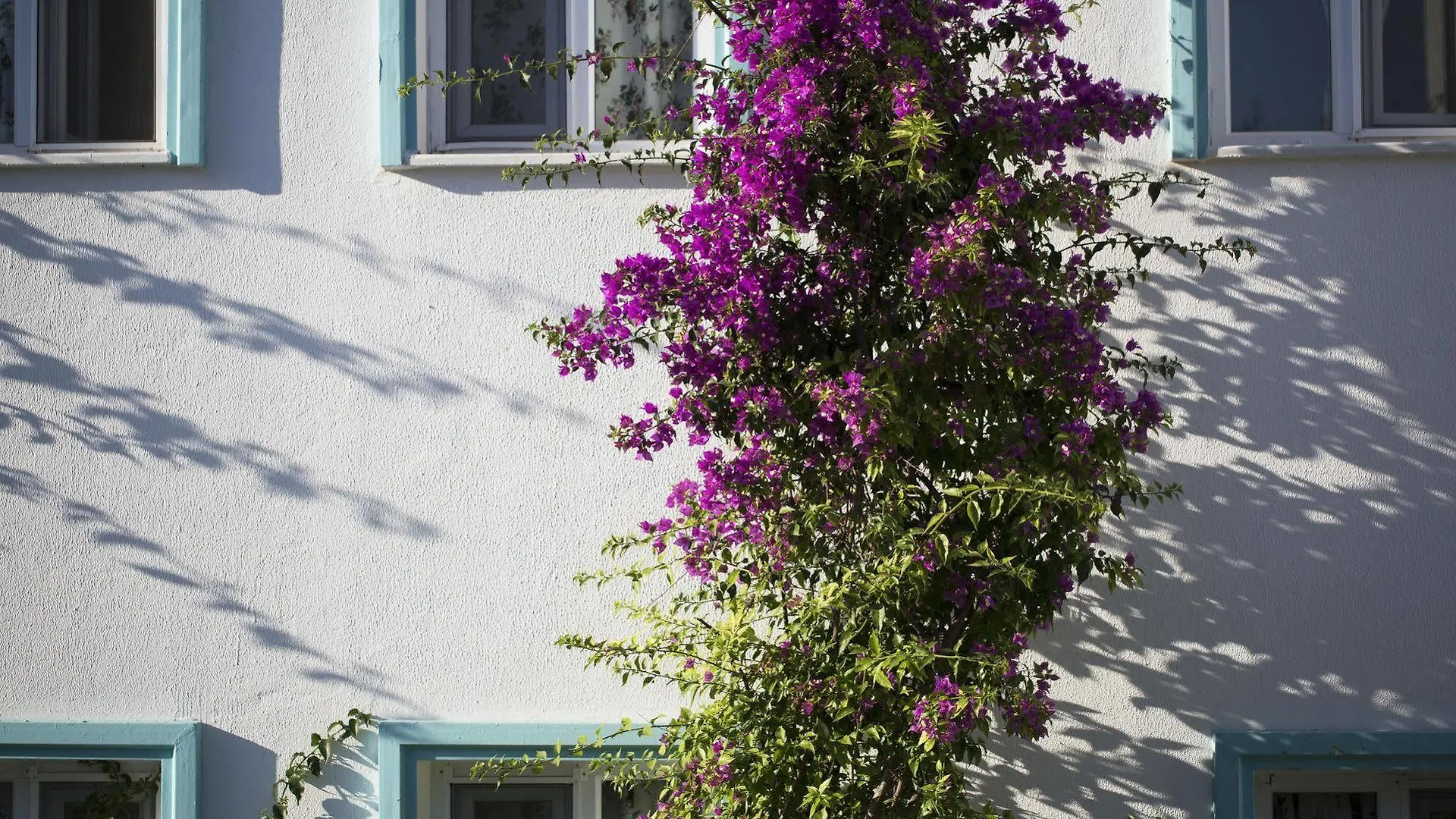Istanbul Hotel Bodrum Türkbükü